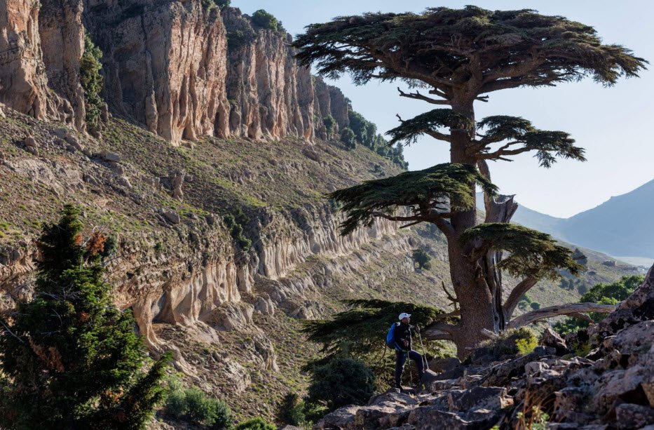 Ifrane National Park, Ifrane, Fès-Meknès, Morocco